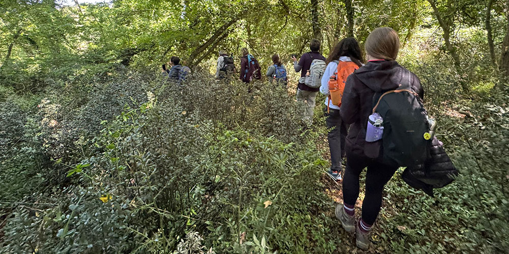 Forest Bathing Shinrin-yoku