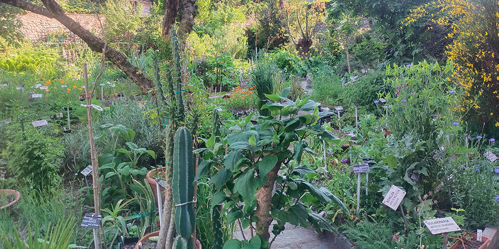 Orto botanico di Valmadrera, Lecco