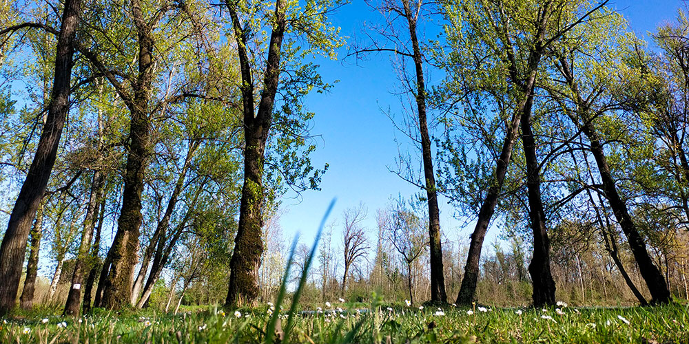 Parco la Pedrera a Soncino (CR)