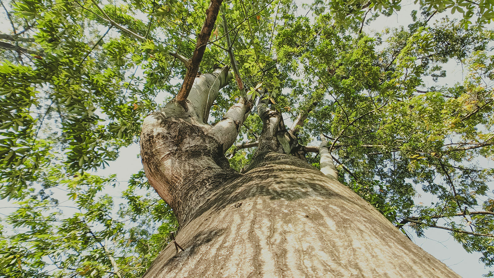 Ortoterapista Jessica